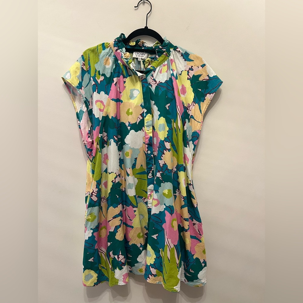 CROSBY by Mollie Burch Size L Dress